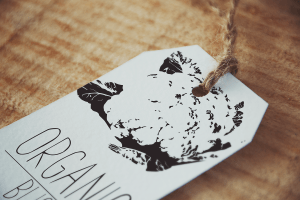 Organic Bliss Logo Design.