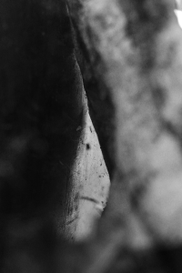 Through the looking glass?